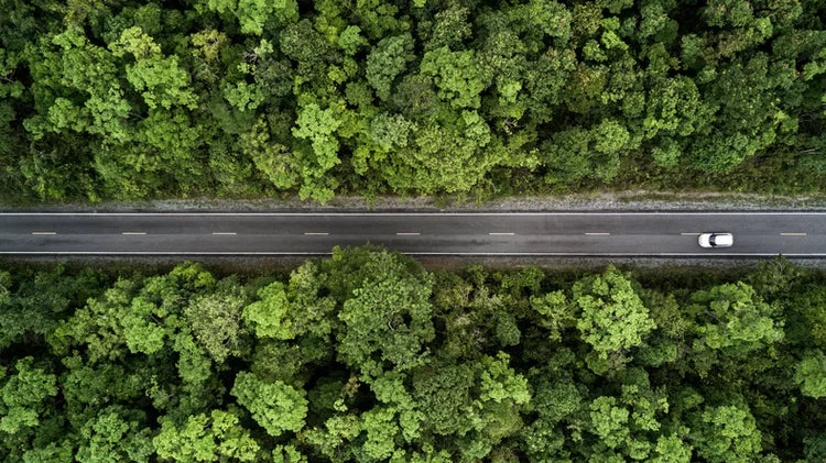 Drone photo: two-lane road running through lush green forest with a lone white car driving along the highway.