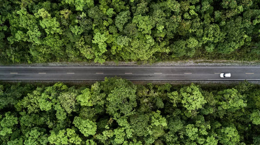 Drone photo: two-lane road running through lush green forest with a lone white car driving along the highway.